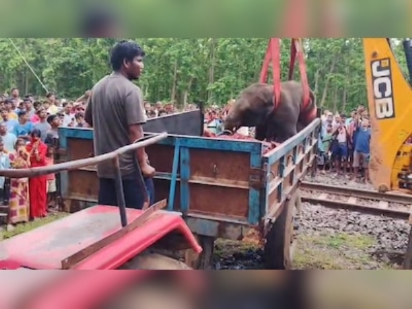 Three elephants killed by train collision in Jhargram