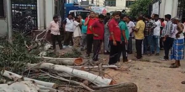 Tree collapses inside Howrah Municipal Corporation premises, two casual workers killed