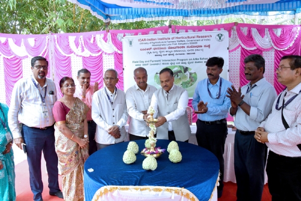 ICAR-IIHR Bengaluru Hosts Successful Field Day on Arka Sahan