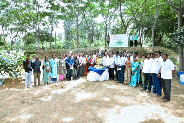 ICAR-IIHR Bengaluru Hosts Successful Field Day on Arka Sahan