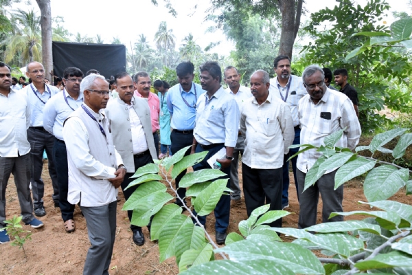ICAR-IIHR Bengaluru Hosts Successful Field Day on Arka Sahan