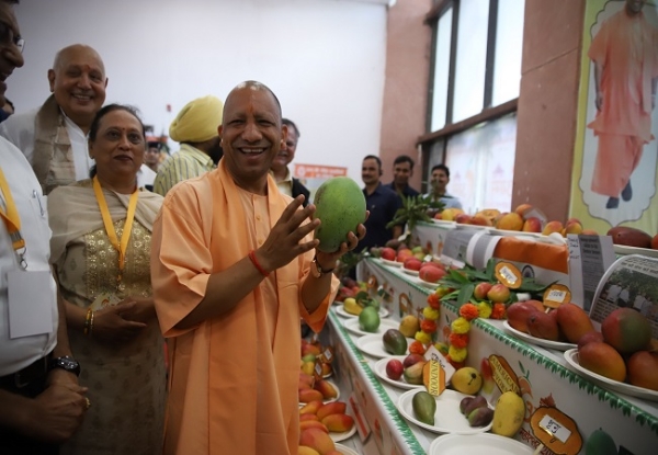 Exhibition of more than 800 varieties of mangoes