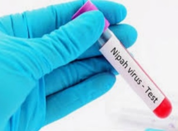 Kerala on Alert After Two Suspected Nipah Cases Spark Concern in Three Districts