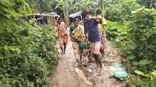 Viral picture