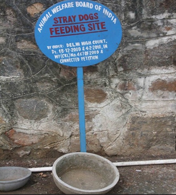 Dog feeding points