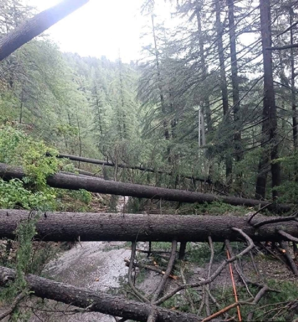 Cloudbursts Ravage Himachal: Bridges Swept Away, Villages Evacuated