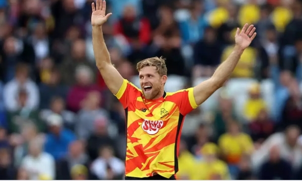 David Willey