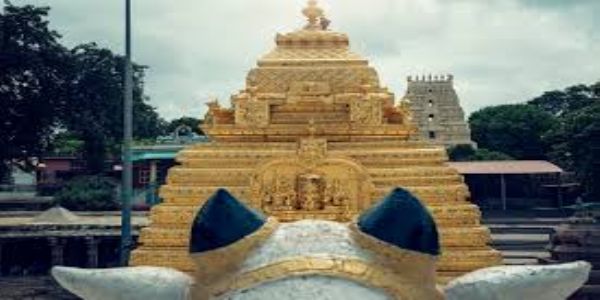 Srisailam Temple Theft Case Reaches High Court