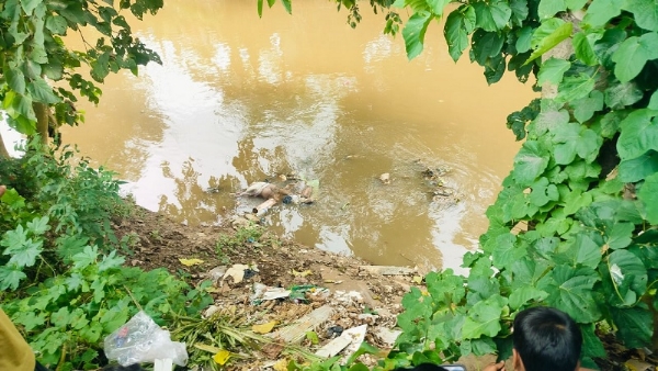 Image related to Dead Body Found Floating in Bashishta River.