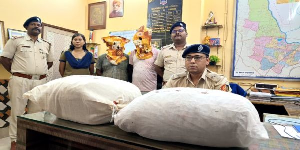 Ganja Trafficking Racket Busted in North 24 Parganas: Two Arrested, Over 23 Kg Narcotics Seized