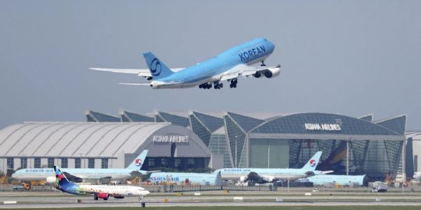 Over 300 South Korean Workers Detained in Georgia Immigration Raid Return Home
