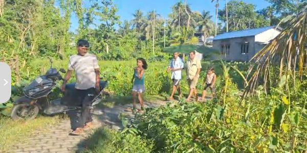 Woman Killed, One Injured in Wild Elephant Attack in Golaghat