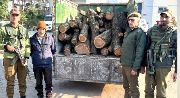Illegally cut Khair wood seized