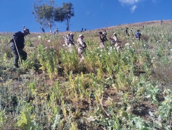 मणिपुर में गिरफ्तार केवाईकेएल (सोरेपा) के तीन कैडर की तस्वीर। मणिपुर में गिरफ्तार केवाईकेएल (सोरेपा) के तीन कैडर की तस्वीर।