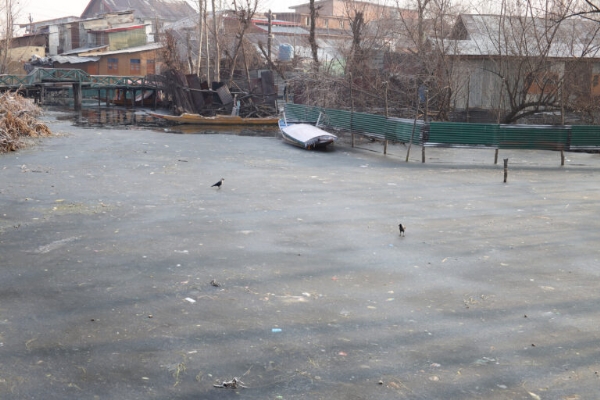 Parts Of Dal Lake Freezes As Kashmir Reels Under Severe Cold Parts Of Dal Lake Freezes As Kashmir Reels Under Severe Cold