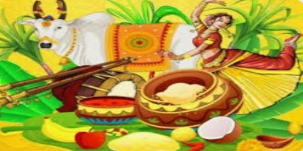 Mattu Pongal festival celebrated across Tamil Nadu