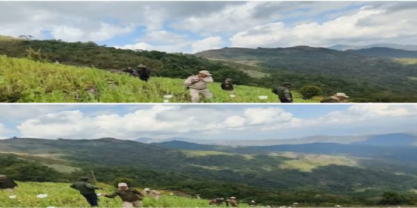 Security Forces Destroy 14 Acres of Poppy Cultivation in Manipur