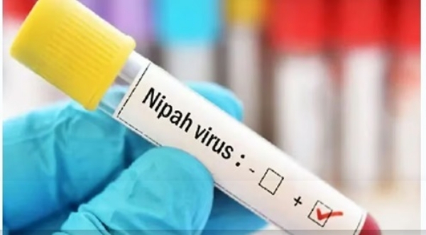 Tamil Nadu tightens Nipah virus watch following cases in West Bengal