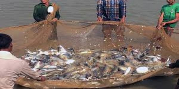 India to Host Fisheries Roundtable for Global Seafood Export Push