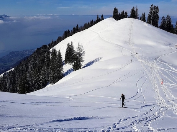 Representational image