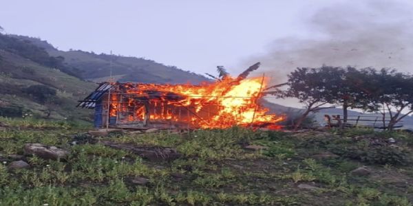 Poppy Cultivation Destroyed Across 53 Acres in Manipur