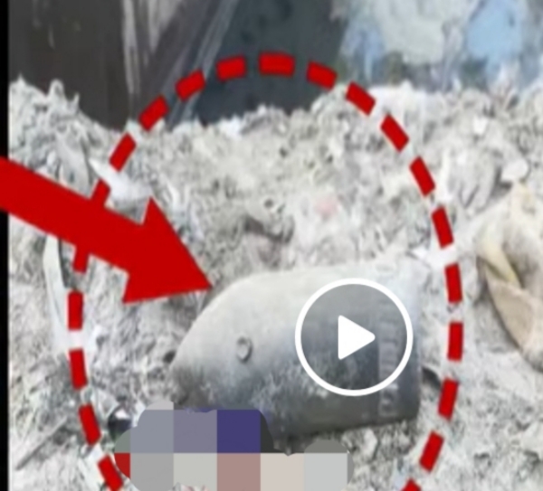 Image of the Found Missile-Like Explosive Object Recovered During Excavation in Jorhat.