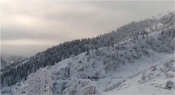 Higher Reaches Of Kashmir Witness Fresh Overnight Snowfall Higher Reaches Of Kashmir Witness Fresh Overnight Snowfall