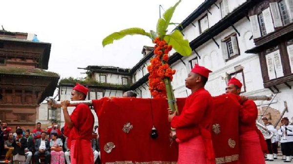 Nepal Observes Phulpati on Seventh Day of Navaratri; Animal Sacrifices Held at Shakti Shrines Across District Headquarters