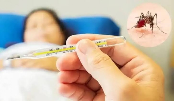 Dengue starts tightening grip on J&K; Doda’s 228 cases raise alarm