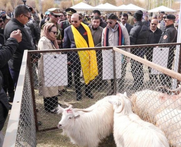 LG Saxena Inaugurates Two-Day Ladakh Pashmina Conclave To Take ‘Golden Fibre Of Ladakh’ To Global Markets