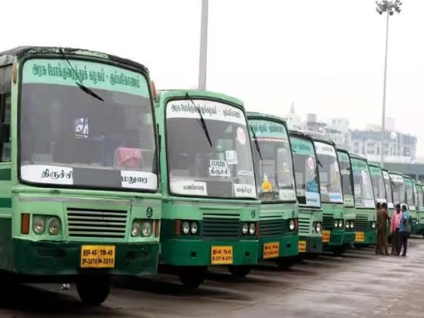 TN buses