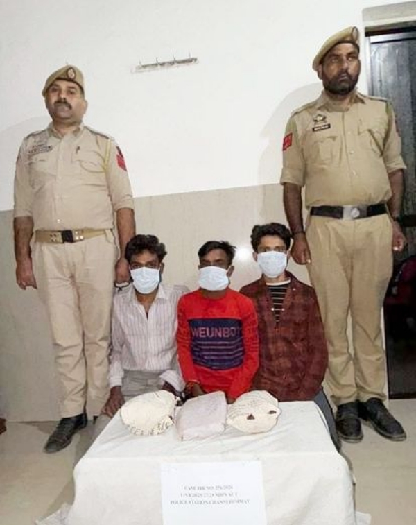 J&K Police Nabs Drug Peddlers With 500 Grams Of Ganja