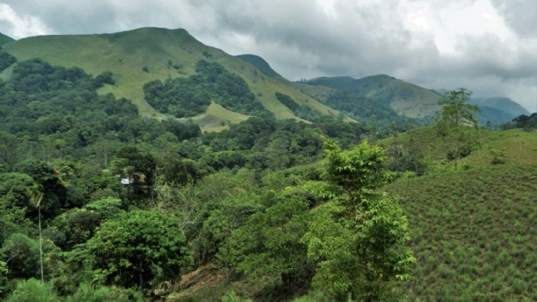 Western ghats