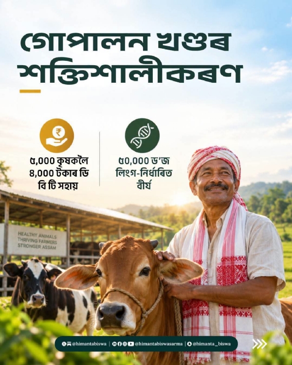 The Illustration shared by Assam CM Dr Himanta Biswa Sarma.
