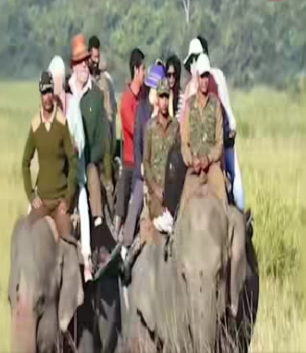 Kaziranga File Image.