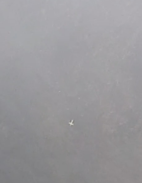 Helicopter Crash Helicopter Crash