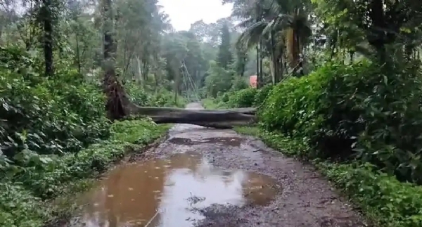 october-rain-recovery-bengaluru-kodagu-10-districts