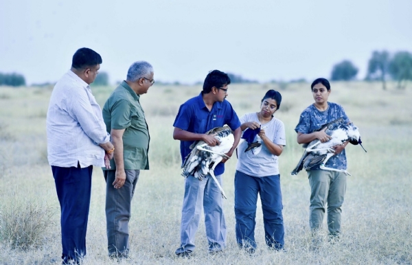 Union Minister for Environment, Forest and Climate Change Bhupender Yadav releases two male Great Indian Bustards into the wild at the Desert National Park in Jaisalmer.