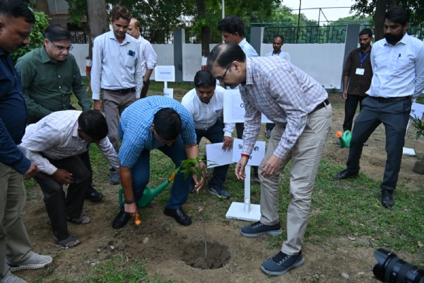 NCR achieved remarkable environmental milestone under ‘Ek Ped Maa Ke Naam’ campaign