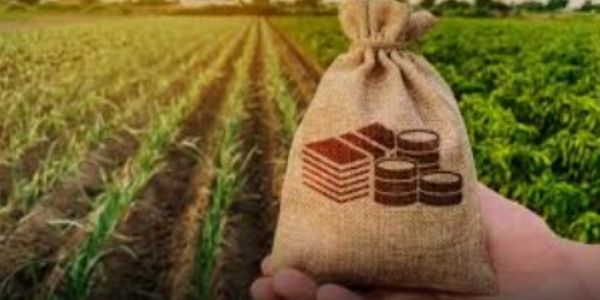 Tamil Nadu allocates 47,248 crore for agriculture in interim budget