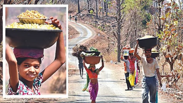 Melghat Mahua Melghat Mahua