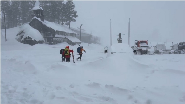 8 death in california avalanche