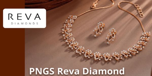 PNGS Reva Accelerates Expansion with 15 New Brand-Exclusive Stores Nationwide