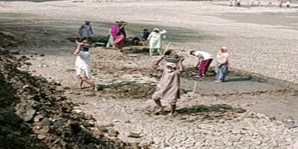 Rural employment shifts and policy response in Telangana