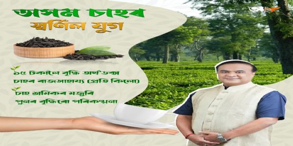 Assam Increases Subsidy on Orthodox Tea to ₹15 per Kg