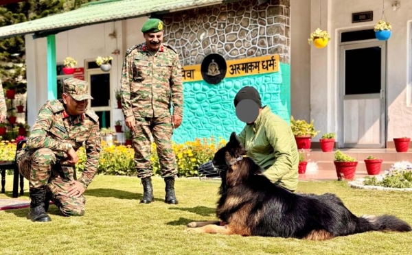 Bullet-Wounded Canine Soldier ‘Tyson’ Recovering Well: Indian Army Bullet-Wounded Canine Soldier ‘Tyson’ Recovering Well: Indian Army