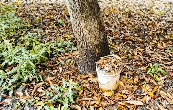 Symbolic Image Symbolic Image