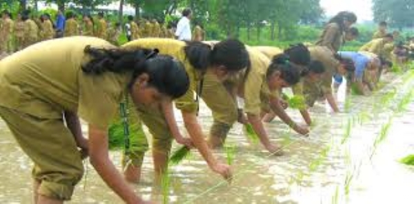 Training program on makhana (fox nut) production and processing held