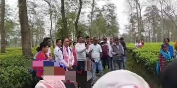 Tea Workers Turn Away Congress Candidate in Tingkhong, Extend Support to Bimal Bora