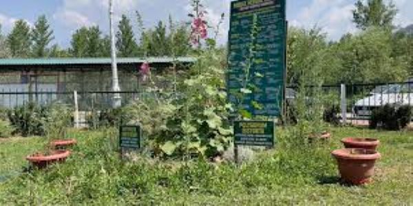 Union Ministry For Ayush Approves 100 School Herbal Gardens For Jammu Division